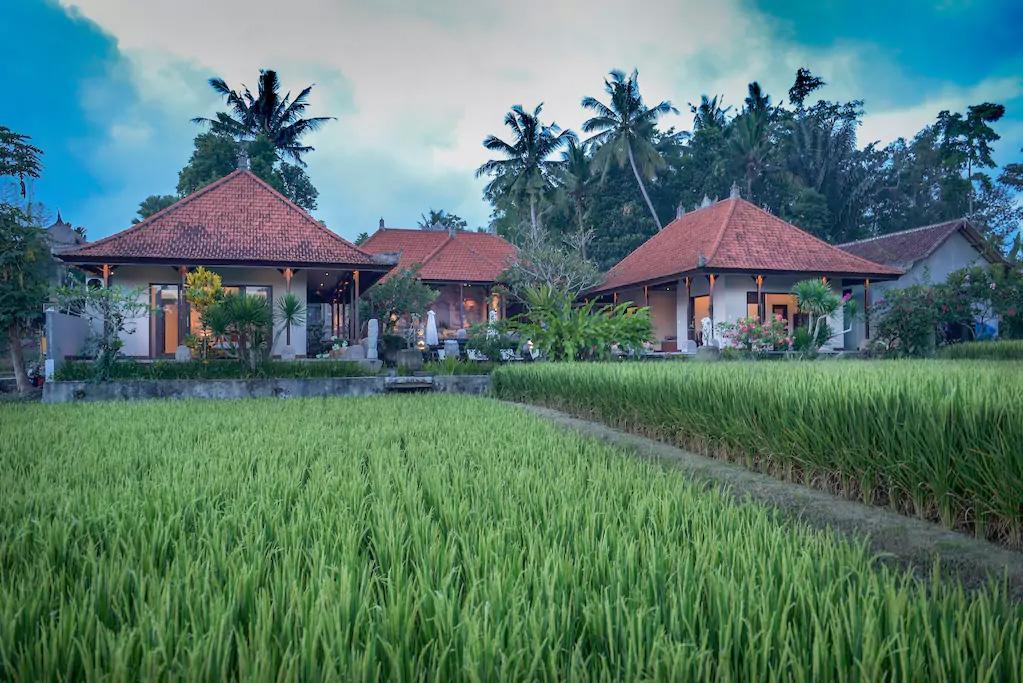 Villa Heron Ubud Exteriör bild
